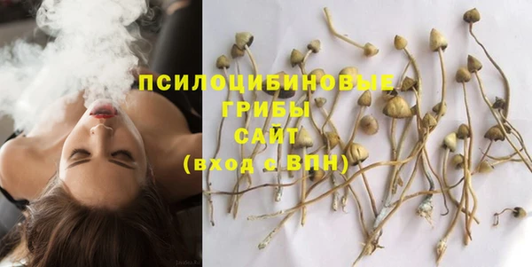 твердый Балабаново