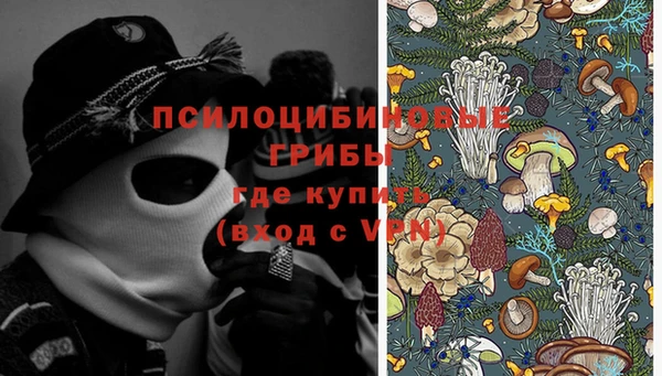 2c-b Белокуриха