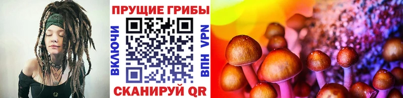 купить наркоту  Нарткала  Галлюциногенные грибы прущие грибы 
